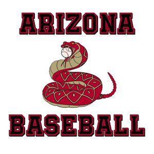 New Diamondback ARIZONA Baseball Mens White Short Sleeve T Shirt XL NWT